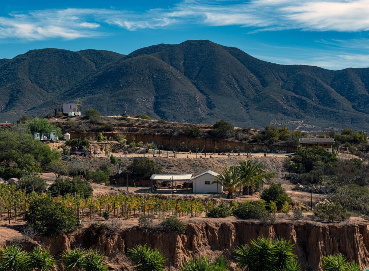 Finca De Lulu Y Jose Ruta Del Vino Guadalupe Eksteriør billede
